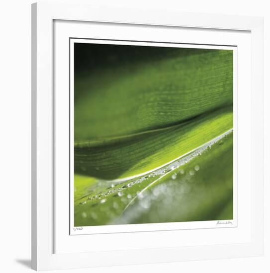 Dew Drops 2-Florence Delva-Framed Giclee Print