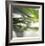 Dew Drops 3-Florence Delva-Framed Giclee Print