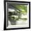 Dew Drops 3-Florence Delva-Framed Giclee Print