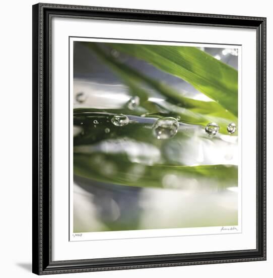 Dew Drops 3-Florence Delva-Framed Giclee Print