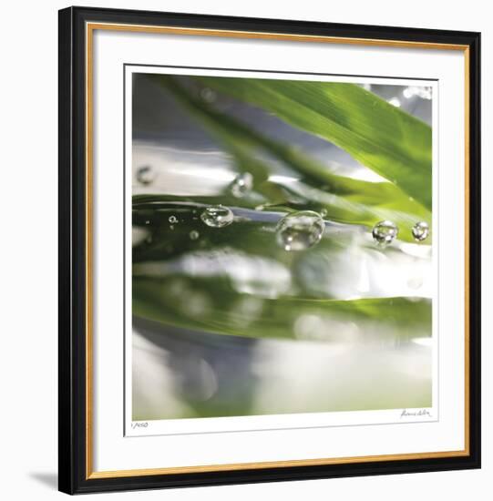 Dew Drops 3-Florence Delva-Framed Giclee Print