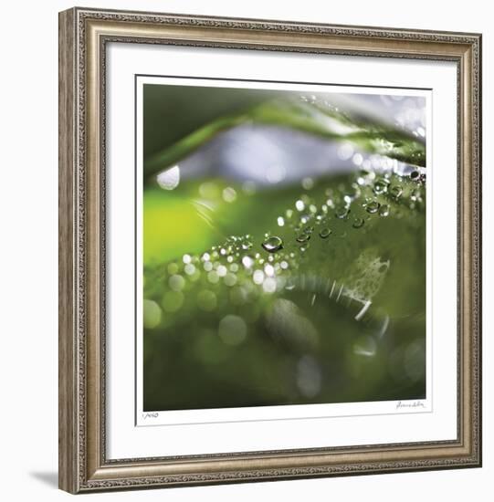 Dew Drops 5-Florence Delva-Framed Giclee Print