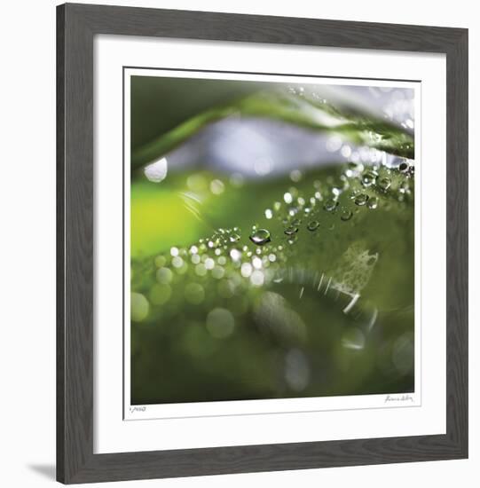 Dew Drops 5-Florence Delva-Framed Giclee Print