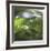 Dew Drops 5-Florence Delva-Framed Giclee Print