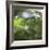 Dew Drops 5-Florence Delva-Framed Giclee Print