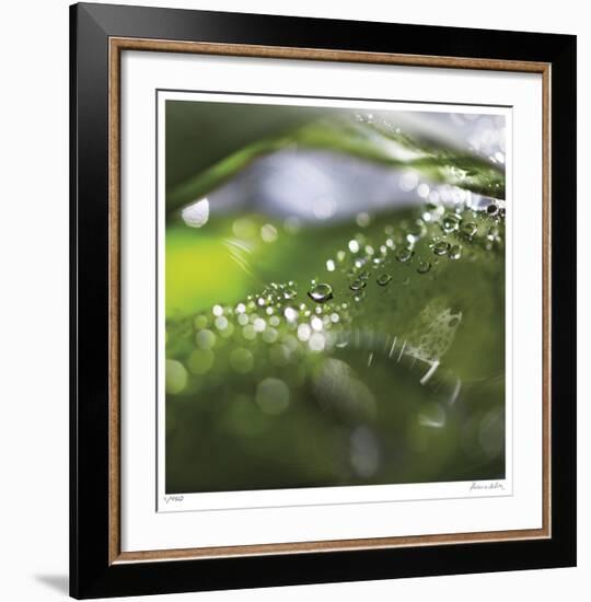 Dew Drops 5-Florence Delva-Framed Giclee Print