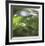 Dew Drops 5-Florence Delva-Framed Giclee Print