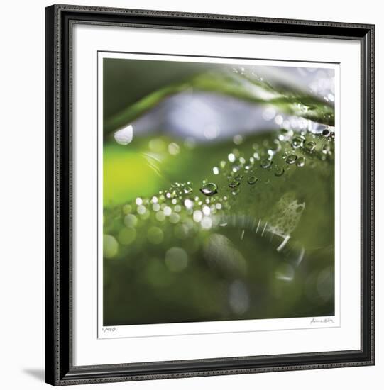 Dew Drops 5-Florence Delva-Framed Giclee Print