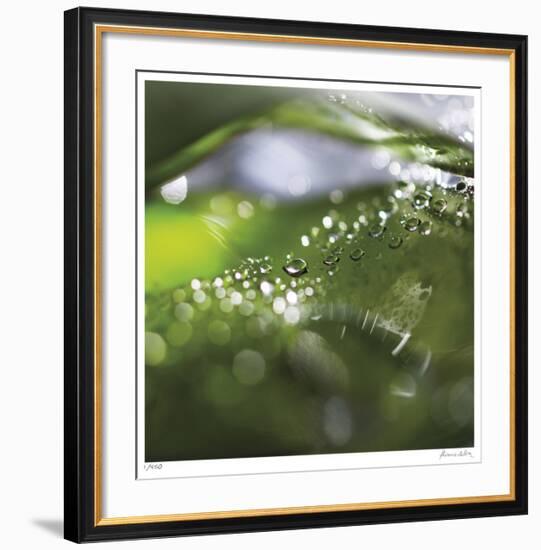 Dew Drops 5-Florence Delva-Framed Giclee Print