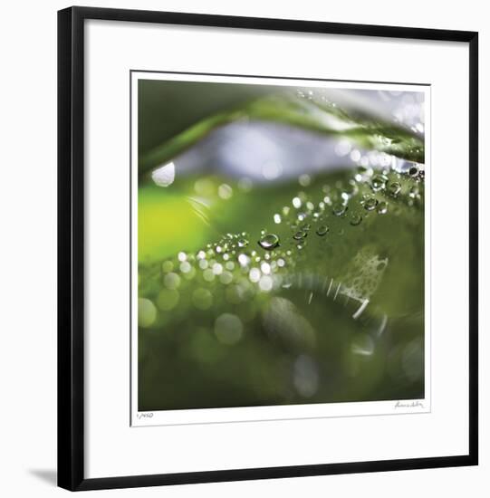 Dew Drops 5-Florence Delva-Framed Giclee Print
