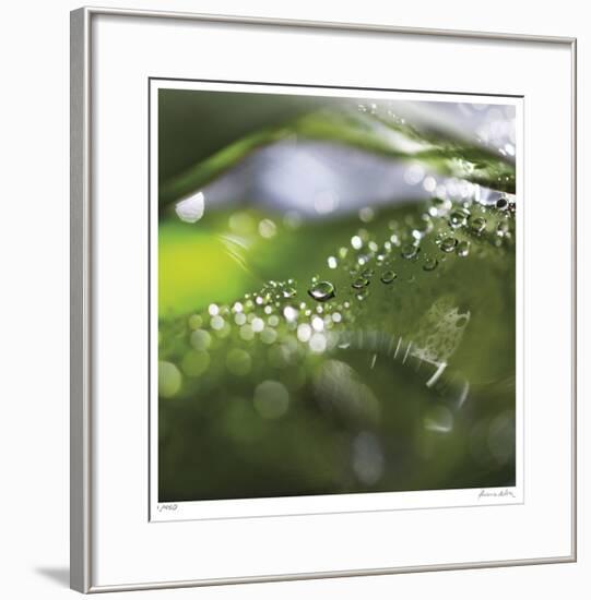 Dew Drops 5-Florence Delva-Framed Giclee Print