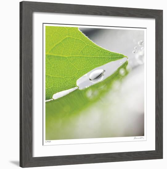 Dew Drops 6-Florence Delva-Framed Giclee Print