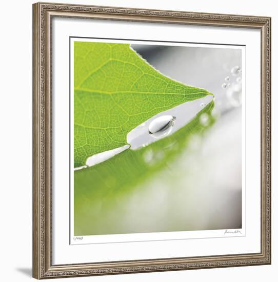 Dew Drops 6-Florence Delva-Framed Giclee Print