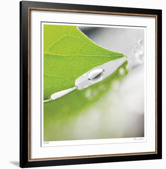 Dew Drops 6-Florence Delva-Framed Giclee Print