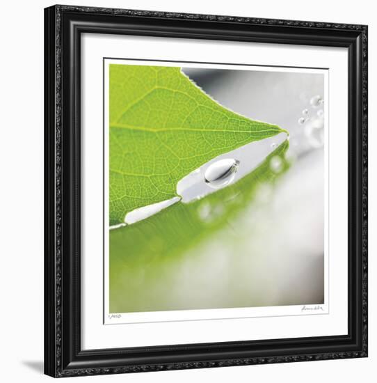 Dew Drops 6-Florence Delva-Framed Giclee Print