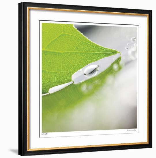 Dew Drops 6-Florence Delva-Framed Giclee Print