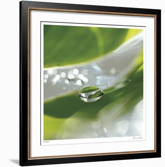 Dew Drops 7-Florence Delva-Framed Giclee Print