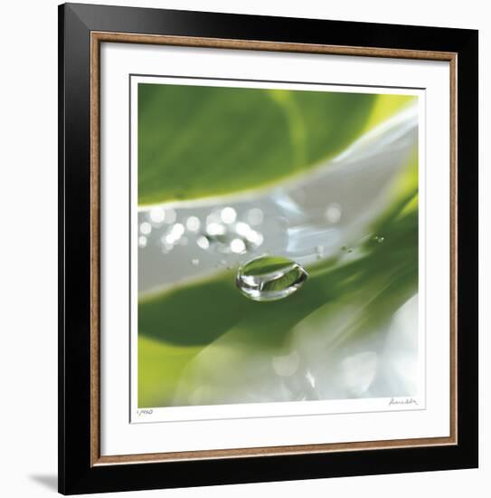 Dew Drops 7-Florence Delva-Framed Giclee Print
