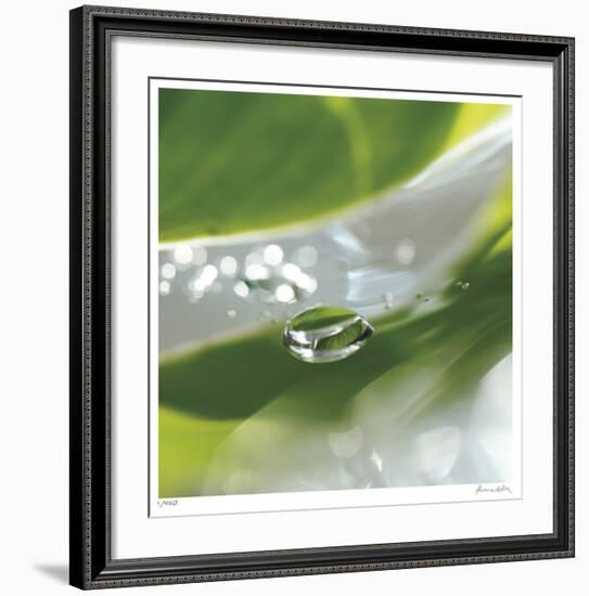 Dew Drops 7-Florence Delva-Framed Giclee Print