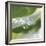 Dew Drops 7-Florence Delva-Framed Giclee Print