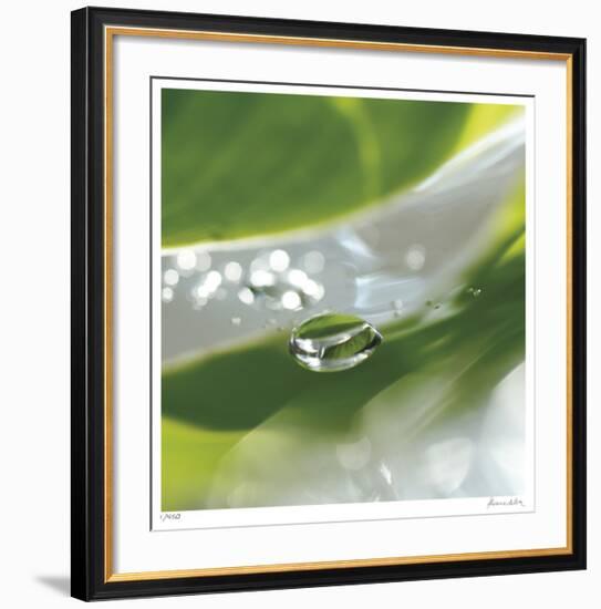 Dew Drops 7-Florence Delva-Framed Giclee Print