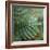 Dew Drops I-Nicole Katano-Framed Photo