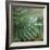 Dew Drops I-Nicole Katano-Framed Photo