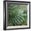 Dew Drops I-Nicole Katano-Framed Photo