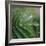 Dew Drops II-Nicole Katano-Framed Photo