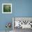 Dew Drops II-Nicole Katano-Framed Photo displayed on a wall