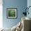 Dew Drops II-Nicole Katano-Framed Photo displayed on a wall