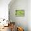 Dew Drops on a Leaf-Craig Tuttle-Framed Premier Image Canvas displayed on a wall