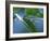Dew Drops on a Twig-null-Framed Photographic Print