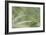 Dew Drops on Beach Grass-Don Paulson-Framed Giclee Print