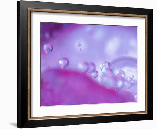 Dew Drops on Flower Petal Abstract-Nancy Rotenberg-Framed Photographic Print