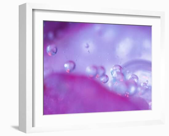 Dew Drops on Flower Petal Abstract-Nancy Rotenberg-Framed Photographic Print