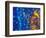 Dew Drops reflecting an Orange Profusion Zinnia with a blue backdrop, Sammamish Washington-Darrell Gulin-Framed Photographic Print