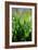 Dew Drops VI-Leesa White-Framed Photographic Print