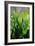 Dew Drops VI-Leesa White-Framed Photographic Print