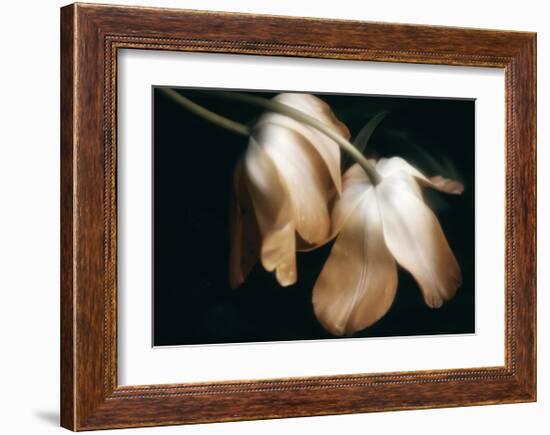 Dew Drops-David Winston-Framed Giclee Print