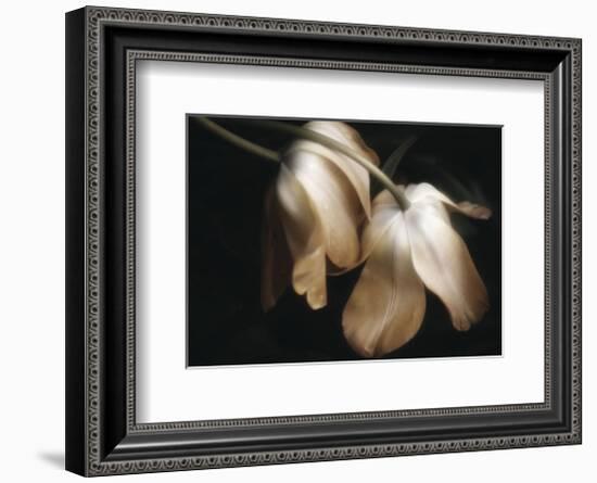 Dew Drops-David Lorenz Winston-Framed Art Print