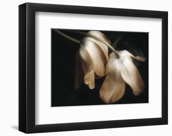 Dew Drops-David Lorenz Winston-Framed Art Print