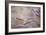 Dew Fox Tail Grass-Cora Niele-Framed Photographic Print