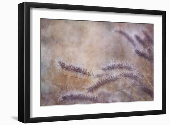 Dew Fox Tail Grass-Cora Niele-Framed Photographic Print