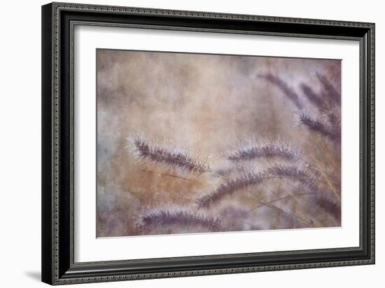 Dew Fox Tail Grass-Cora Niele-Framed Photographic Print