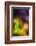 Dew on Grass-Ursula Abresch-Framed Photographic Print