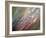 Dew-Ursula Abresch-Framed Photographic Print