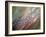 Dew-Ursula Abresch-Framed Photographic Print