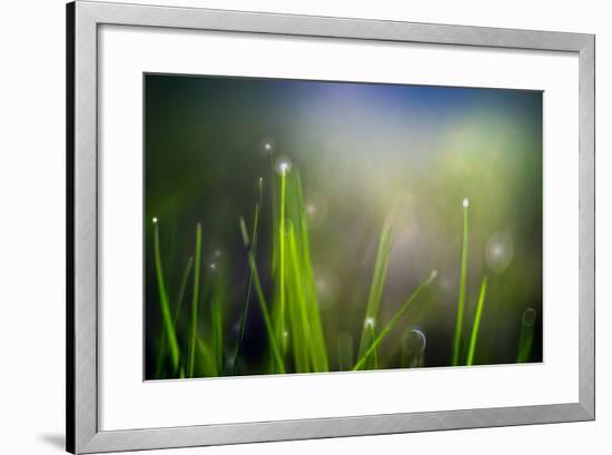 Dew-Ursula Abresch-Framed Photographic Print