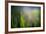 Dew-Ursula Abresch-Framed Photographic Print